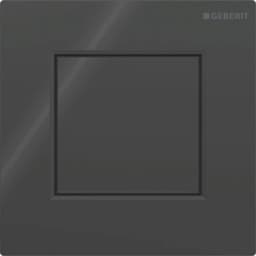 Geberit Tip 01 Siyah Pisuvar İçin Kumanda Kapağı - 116.064.DW.1 görsel 1