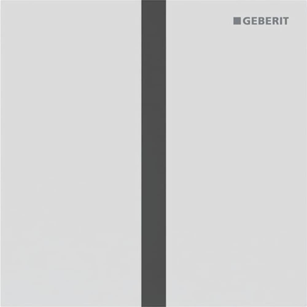 Geberit Tip 40 Kum Grisi Pisuvar İçin Kumanda Kapağı - 116.237.JT.1