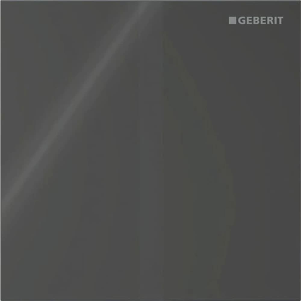 Geberit Tip 40 Siyah Cam Pisuvar İçin Kumanda Kapağı - 116.227.SJ.1