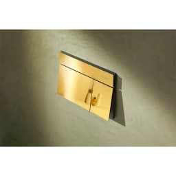 Hansgrohe iFrame Element E Altın Gömme Rezervuar Paneli - 66003990 görsel 2