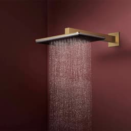 Hansgrohe Raindance Alive Q 210/340 2jet Mat Bronz Tepe Duşu - 24550140 görsel 3