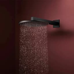 Hansgrohe Raindance Alive S 300 1jet EcoSmart Satin Siyah Tepe Duşu - 24521670 görsel 2