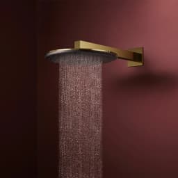 Hansgrohe Raindance Alive S 300 1jet Parlak Altın Tepe Duşu - 24520990 görsel 2
