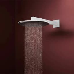 Hansgrohe Raindance Alive S 300 1jet Satin Beyaz Tepe Duşu - 24520700 görsel 2