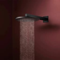 Hansgrohe Raindance Alive S 300 1jet Satin Siyah Tepe Duşu - 24520670 görsel 2