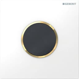Geberit Sigma10 Beyaz-Altın Fotoselli Pisuvar Kumanda Kapağı - 116.035.KK.1 görsel 1
