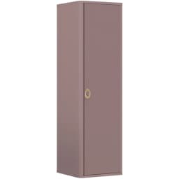 Orka Felice 43 Cm Mat Pudra Boy Dolabı (Altın Kulp) görsel 1