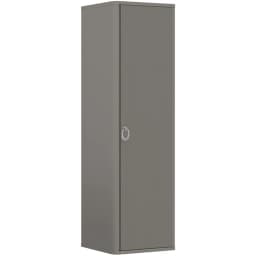 Orka Felice 43 Cm Mat Vizon Boy Dolabı (Krom Kulp) görsel 1