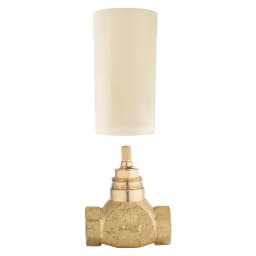 Grohe Non Rapido Classic Ankastre İç Gövde görsel 1