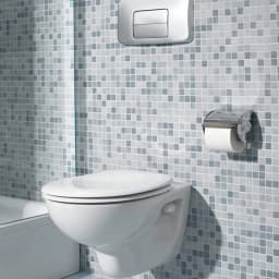 Vitra Arkitekta Kapaklı Parlak Paslanmaz Çelik Tuvalet Kağıtlığı - A44228 görsel 2